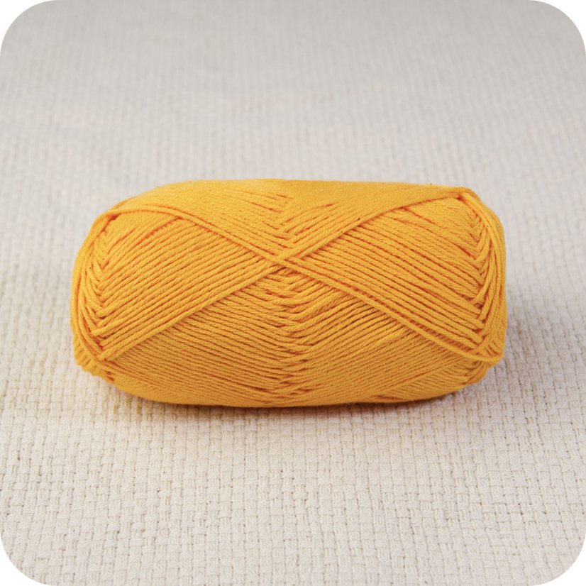 12 prize safran 11 slunecnice